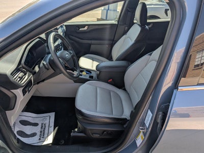 2025 Ford Escape Platinum AWD