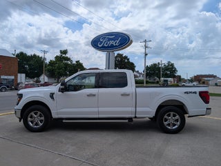 2024 Ford F-150 XLT 4WD SuperCrew 6.5' Box