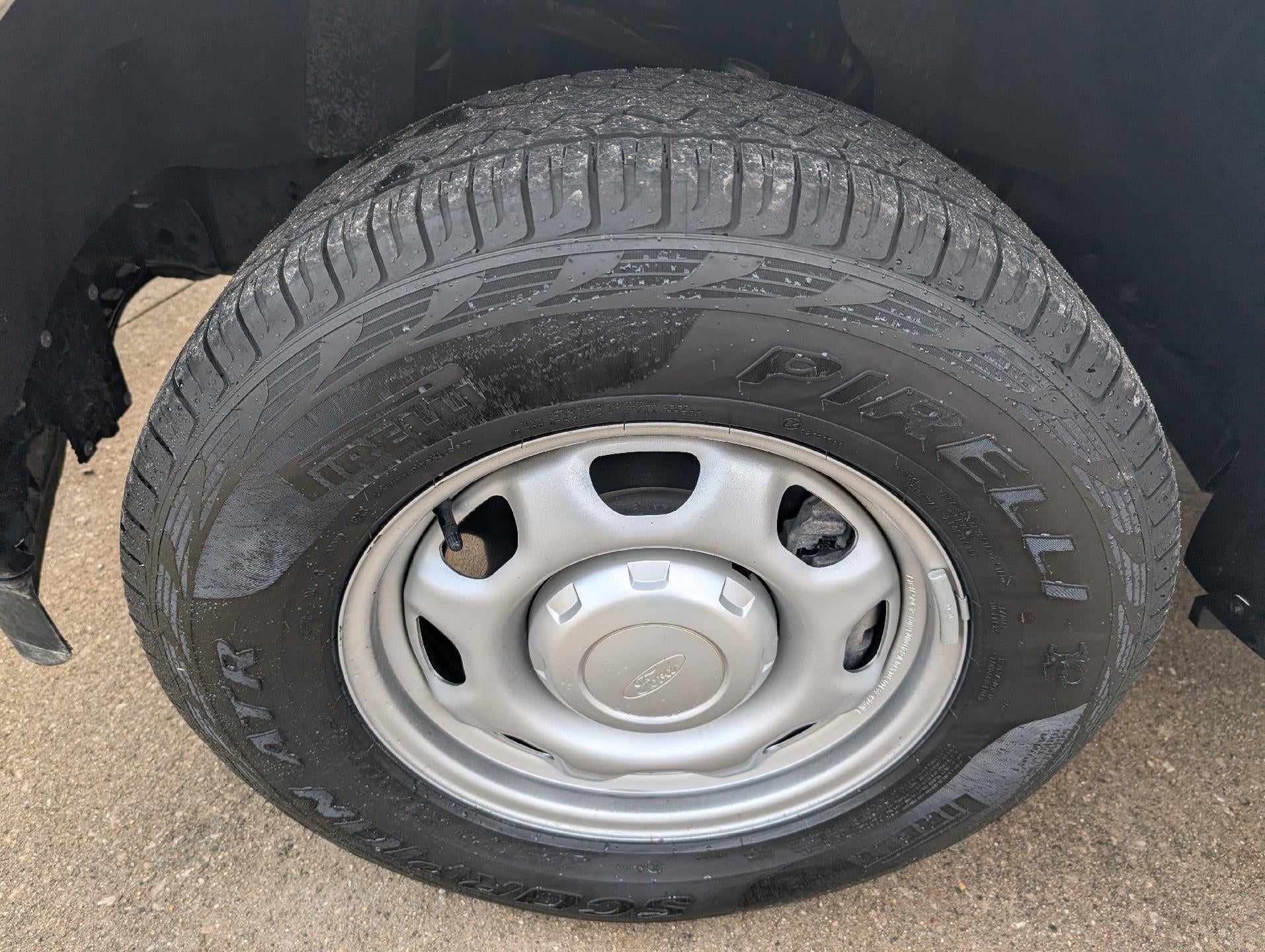 2024 Ford F-150 XL 4WD Reg Cab 8' Box